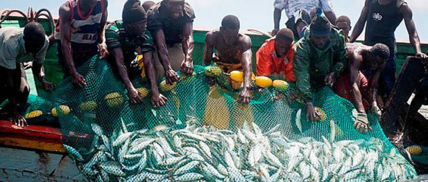 Sénégal : Repli de l’activité du primaire en juillet 2019 Sénégal : Repli de l’activité du primaire en juillet 2019