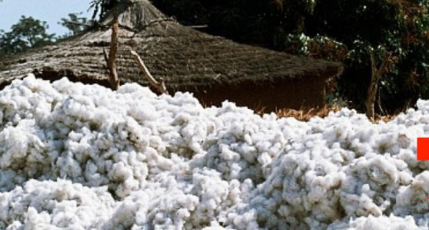 Sénégal : Forte hausse de l’activité du secondaire en juillet 2019 Sénégal : Forte hausse de l’activité du secondaire en juillet 2019