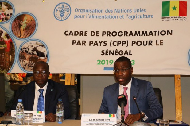 Cadre de Programmation par Pays: La FAO débloque 29 milliards Fcfa d’ici 2023 Cadre de Programmation par Pays: La FAO débloque 29 milliards Fcfa d’ici 2023