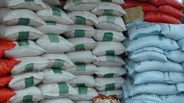 Sénégal : Les prix des kilogrammes de riz parfumé et riz brisé ordinaire ont augmenté de 0,3% et 1,1%, en septembre Sénégal : Les prix des kilogrammes de riz parfumé et riz brisé ordinaire ont augmenté de 0,3% et 1,1%, en septembre