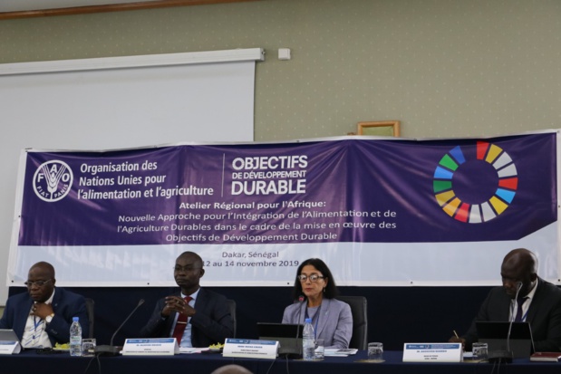 Alimentation et agriculture durables : La Fao présente ses « 20 actions » Alimentation et agriculture durables : La Fao présente ses « 20 actions »