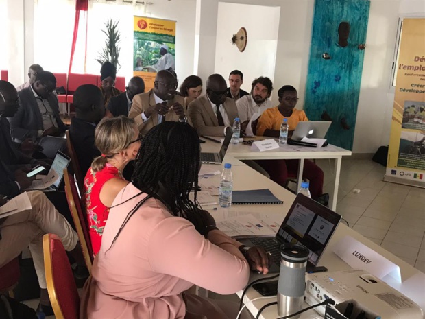 Emploi des jeunes, entreprenariat, formation : Les bons points du programme « Tekkifii »