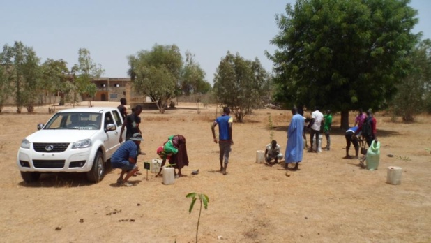 Les défis du développement durable à Diourbel Les défis du développement durable à Diourbel