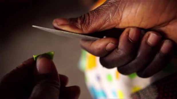 Excision : La pratique est plus répandue chez les Manding, Soninké, Diola et Poular