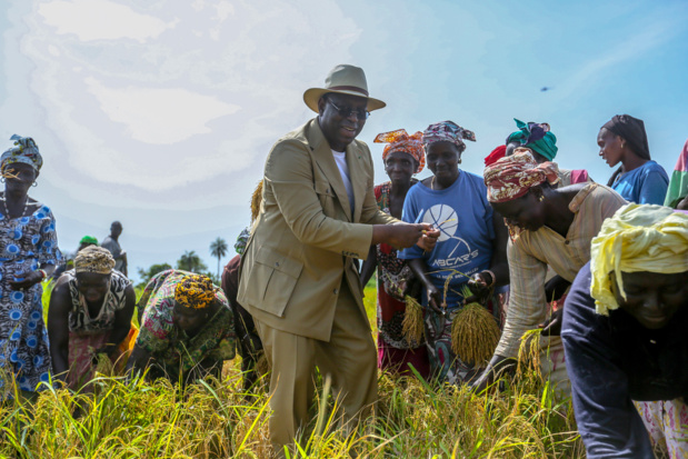 Performance économique du Sénégal :  6,7% de croissance en 2018