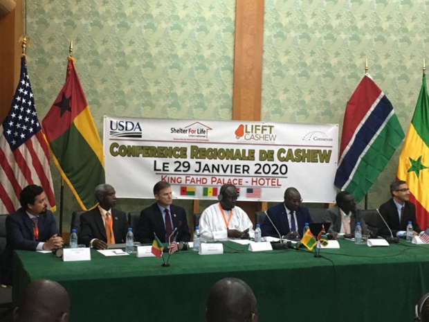 Promotion de l’anacarde : Le Sénégal veut porter la transformation de 5 à 30% Promotion de l’anacarde : Le Sénégal veut porter la transformation de 5 à 30%