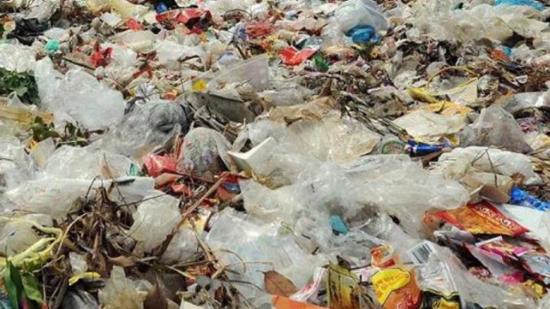 Lutte contre la pollution plastique : La nouvelle loi entre en vigueur en avril 2020
