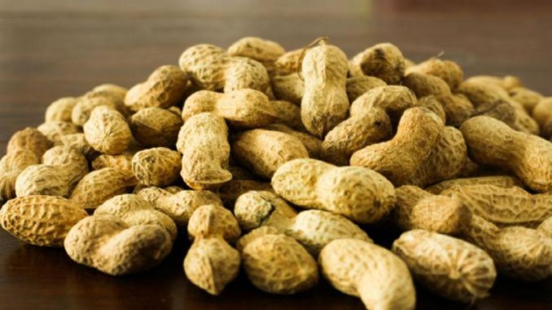 « Le gouvernement sénégalais a clairement sacrifié les huileries privées au Sénégal » selon Nicolas Brugvin, DG de la Copéol « Le gouvernement sénégalais a clairement sacrifié les huileries privées au Sénégal » selon Nicolas Brugvin, DG de la Copéol