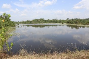 Côte-d’Ivoire : La Bad relance le projet aquacole de Dompleu Côte-d’Ivoire : La Bad relance le projet aquacole de Dompleu