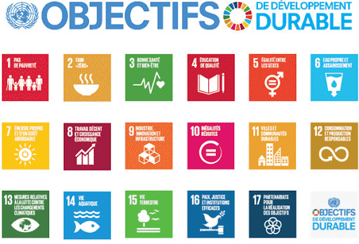 Atteinte des Odd en période de Covid-19 : Le Forum régional africain pour le développement durable plaide pour des partenariats plus solides Atteinte des Odd en période de Covid-19 : Le Forum régional africain pour le développement durable plaide pour des partenariats plus solides