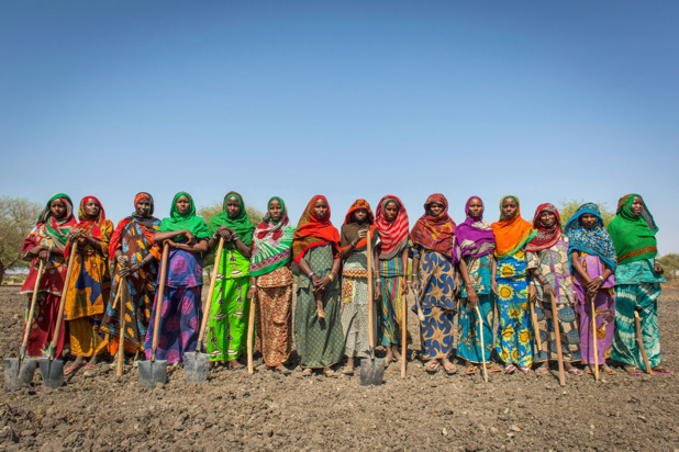AM/Giulio d'Adamo Au Tchad, les programmes d’aide alimentaire favorisent une agriculture durable et renforcent les revenus et les moyens de subsistance des populations de ce pays d'Afrique centrale AM/Giulio d'Adamo Au Tchad, les programmes d’aide alimentaire favorisent une agriculture durable et renforcent les revenus et les moyens de subsistance des populations de ce pays d'Afrique centrale