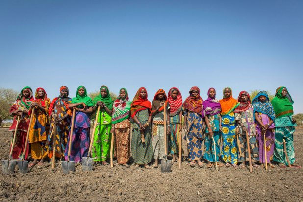 AM/Giulio d'Adamo Au Tchad, les programmes d’aide alimentaire favorisent une agriculture durable et renforcent les revenus et les moyens de subsistance des populations de ce pays d'Afrique centrale