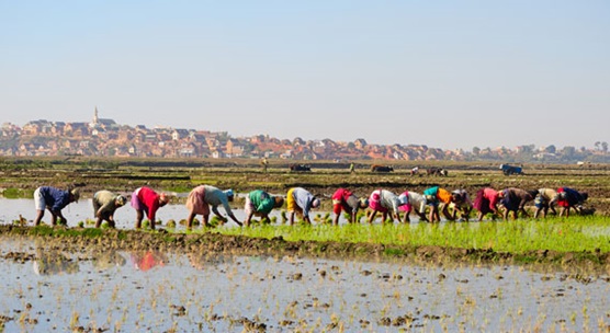 (photo: Hajakely/iStock by Getty Images) (photo: Hajakely/iStock by Getty Images)