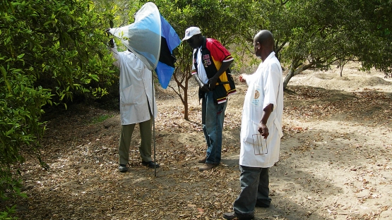 Création de zones exemptes de mouches tsé-tsé au Sénégal : Les Etats unis décaissent 253 millions FCFA Création de zones exemptes de mouches tsé-tsé au Sénégal : Les Etats unis décaissent 253 millions FCFA