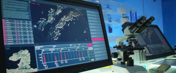 Les priorités de l’économie du COVID-19 Les priorités de l’économie du COVID-19