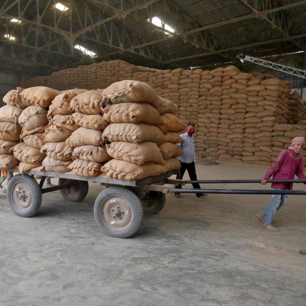 Commercialisation du riz en Afrique :  L’Ipar et ses partenaires identifient trois domaines de réforme