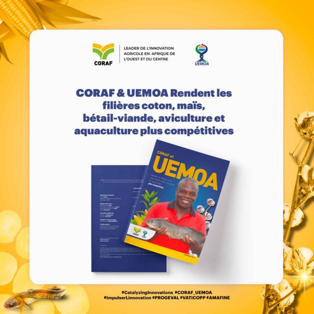 Uemoa : Le Coraf et l’Uemoa se réjouissent des impacts de leur programme PrefAB Uemoa : Le Coraf et l’Uemoa se réjouissent des impacts de leur programme PrefAB