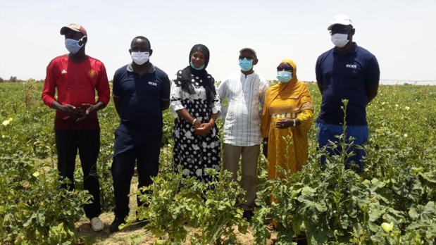 Matam et Podor : La DER/FJ finance 15 Sipa pour une enveloppe de 400 millions Matam et Podor : La DER/FJ finance 15 Sipa pour une enveloppe de 400 millions