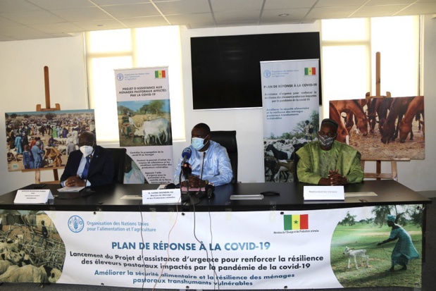 Riposte au Covid-19 :  Lancement d’un projet d’assistance d’urgence aux éleveurs