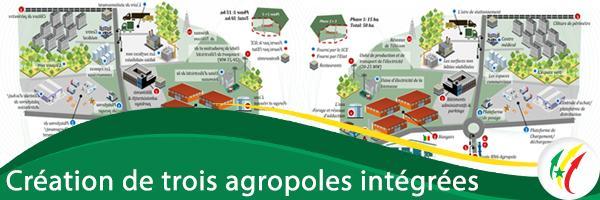 Structuration de l’agropole centre : Un atelier d’orientation stratégique prévu le 13 août à Kaolack Structuration de l’agropole centre : Un atelier d’orientation stratégique prévu le 13 août à Kaolack