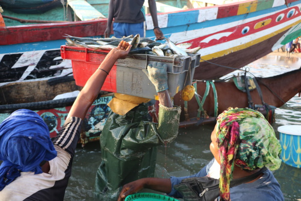 Covid-19 en Afrique: la CAOPA toujours dans la mobilisation pour combattre la pandémie