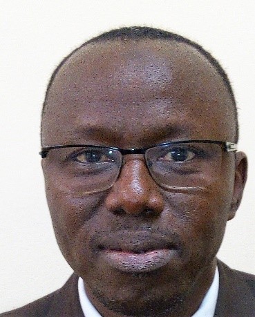 Mali : « IN LIMINE LITIS » Mali : « IN LIMINE LITIS »