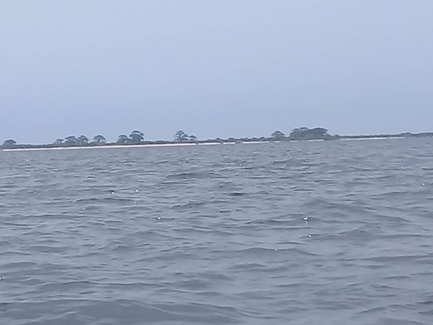 Nettoyage des sites de pointe des tortues marines : une activité visant la préservation de l’écosystème marin et côtier Nettoyage des sites de pointe des tortues marines : une activité visant la préservation de l’écosystème marin et côtier