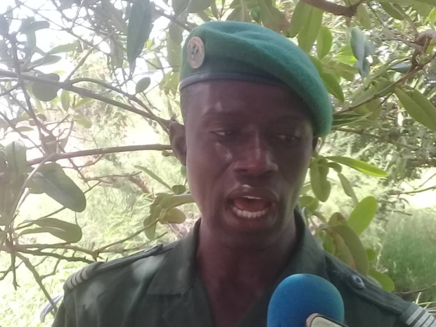 Nettoyage des sites de pointe des tortues marines : une activité visant la préservation de l’écosystème marin et côtier Nettoyage des sites de pointe des tortues marines : une activité visant la préservation de l’écosystème marin et côtier