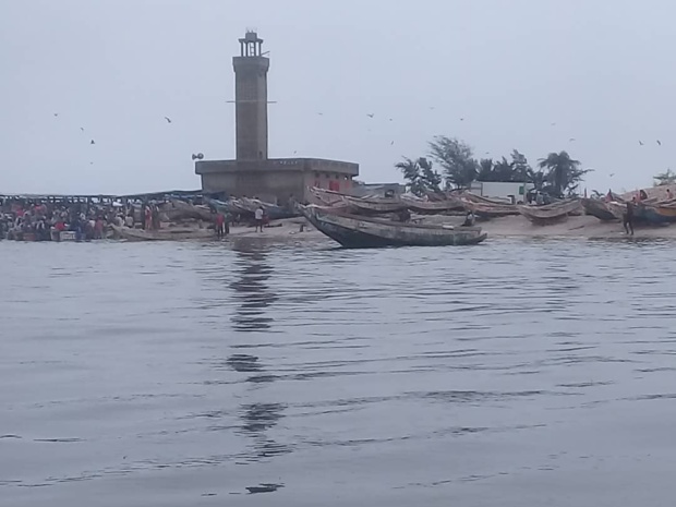 Nettoyage des sites de pointe des tortues marines : une activité visant la préservation de l’écosystème marin et côtier