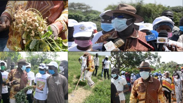 Mamadou Ndione Directeur général du COSEC :  la relance de l’économie sénégalaise passe par la relance agricole