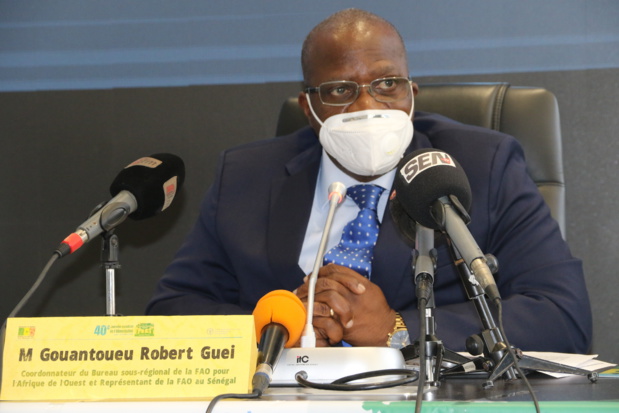 Journée mondiale de l’alimentation :  Le plaidoyer de la Fao pour lutter contre la faim Journée mondiale de l’alimentation :  Le plaidoyer de la Fao pour lutter contre la faim