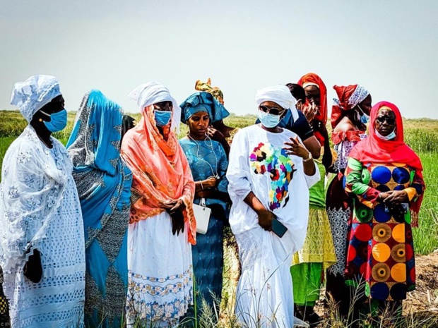 Financement de la campagne hivernale 2020 des femmes agricultrices : La Bicis alloue 350 millions Cfa aux membres du Refan