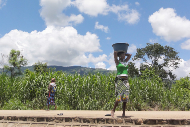 hoto OMM/Cornel Vermaak La sécheresse en Afrique a un impact néfaste sur la productiviité agricole, selon l'OMM