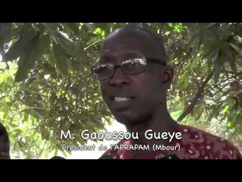 Emigration clandestine : les pirogues utilisées par les candidats sont des ‘’bombes flottantes’’, selon Gaoussou Guèye
