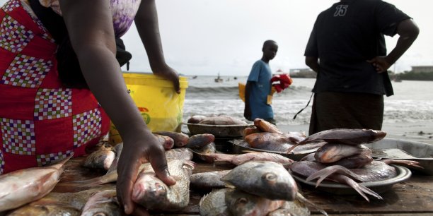 Sénégal : Consolidation de l’activité économique interne au mois de septembre Sénégal : Consolidation de l’activité économique interne au mois de septembre