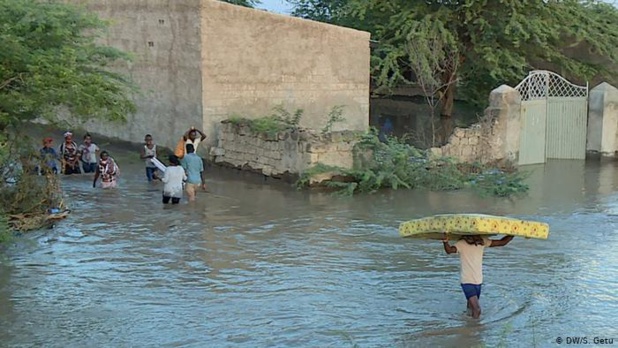 Effets des changements climatiques : L’organisation Greenpeace alerte sur l’intensification des événements météorologiques