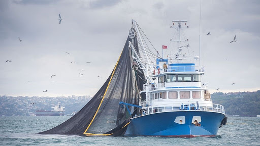 Accords de pêche Sénégal-Ue: 50 mille tonnes de poisson bradées pour plus de 5 milliards