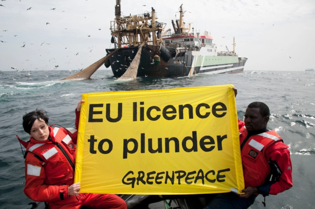 Sénégal-Union européenne : Greenpeace demande de geler l’accord de pêche Sénégal-Union européenne : Greenpeace demande de geler l’accord de pêche
