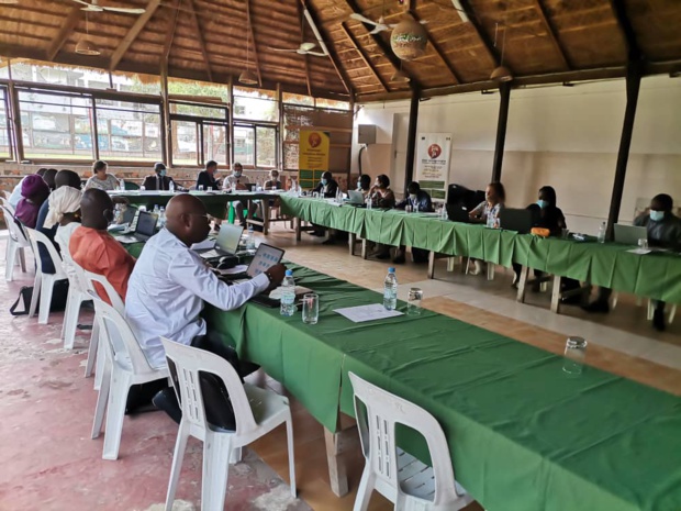 Soutien aux jeunes : Les bons points du programme « Développer l’emploi au Sénégal- Tekki Fii » Soutien aux jeunes : Les bons points du programme « Développer l’emploi au Sénégal- Tekki Fii »