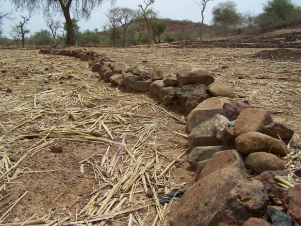 Amélioration de la fertilité des sols :  L’Ifdc et la Bidc de la Cedeao unissent leurs forces