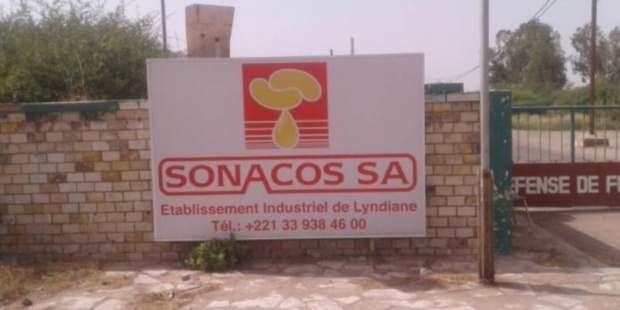 CAMPAGNE DE COMMERCIALISATION DE L’ARACHIDE: La Sonacos, s’adapter ou disparaître CAMPAGNE DE COMMERCIALISATION DE L’ARACHIDE: La Sonacos, s’adapter ou disparaître