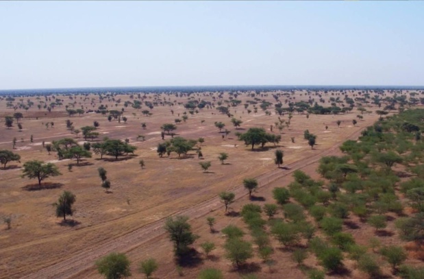 Banque africaine de développement : Plus de 36% des approbations consacrées à la finance climatique en 2019