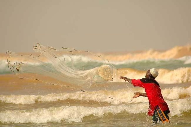 Atelier sur la gestion des produits halieutiques: La pêche non réglementée indexée Atelier sur la gestion des produits halieutiques: La pêche non réglementée indexée