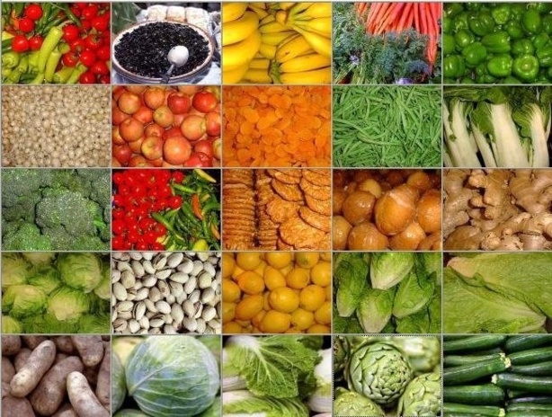 14ème Edition de la Foire Internationale de l’Agriculture et des Ressources Animales (FIARA): L’Investissement au cœur du développement agricole 14ème Edition de la Foire Internationale de l’Agriculture et des Ressources Animales (FIARA): L’Investissement au cœur du développement agricole