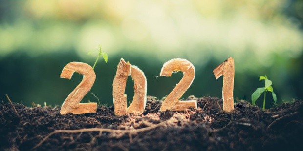 Optimisme pour la nouvelle année Optimisme pour la nouvelle année