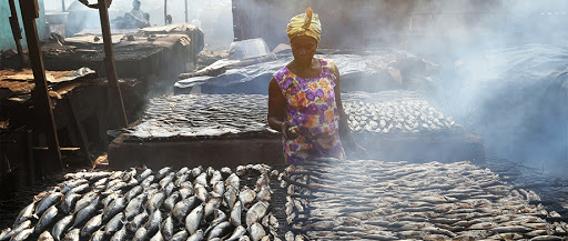 34ième COFI de la FAO : la CAOPA donne son point de vue de vue sur les enjeux de la pêche artisanale