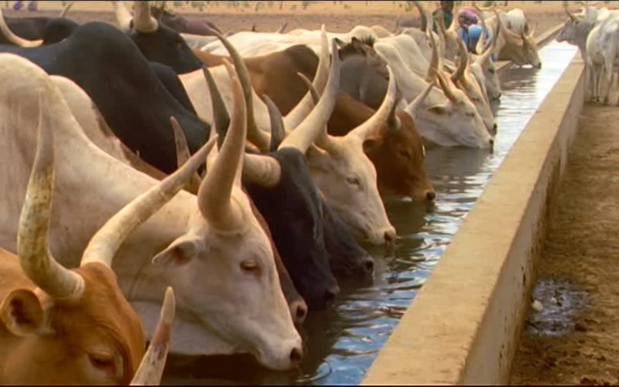 Sénégal : Bonne tenue de l’activité économique interne en décembre 2020 Sénégal : Bonne tenue de l’activité économique interne en décembre 2020