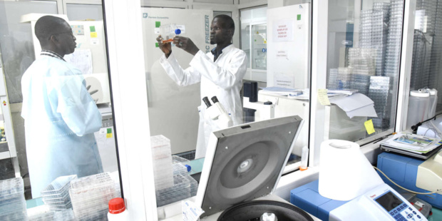 Sénégal : Forte hausse du secteur tertiaire en décembre 2020
