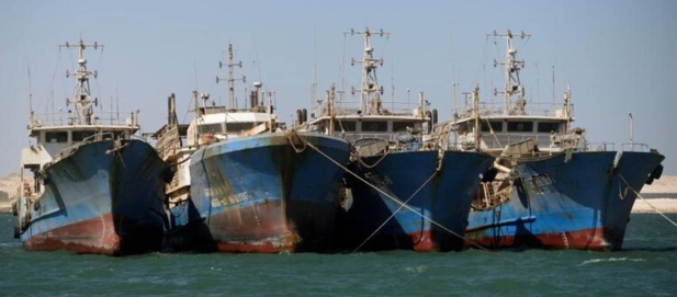 Conséquences néfastes de l’accord de pêche entre le Sénégal et l'Union européenne : Greenpeace demande des mesures pour éviter le déclin de la pêche sénégalaise