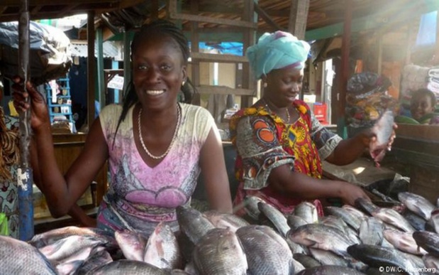 Relance économique post-Covid-19 : l’amélioration des conditions de travail des femmes de la pêche artisanale doit être la priorité des mesures (CAOPA) Relance économique post-Covid-19 : l’amélioration des conditions de travail des femmes de la pêche artisanale doit être la priorité des mesures (CAOPA)